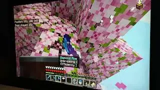 I survived 200-300 Days in Minecraft survival(currently on day 256)