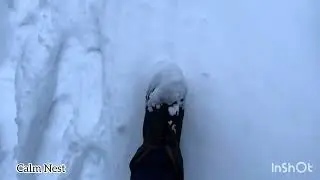 Snowy Forest ASMR Adventure: Crunching Snow, Birds & Nature Sounds ❄️🖤