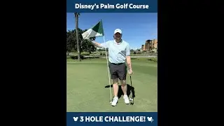 My First Golf Video: Playing Golf at Disney!