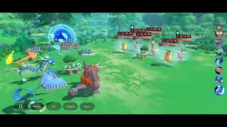 Pet Frenzy: Master Legend