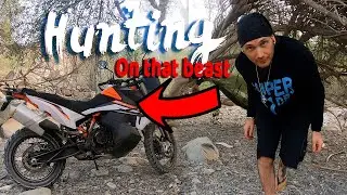 Hunting down trails in the UAE