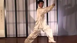 Jesse Tsao Tai Chi Fajin Double Fist Blasts