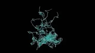 Spatial Collectivities