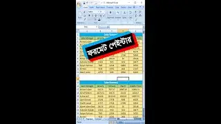 How to use Format Painter In Excel In Bangla Tutorial #shorts #short #excel
