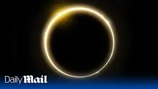 LIVE: Daily Mail coverage of total solar eclipse in U.S.