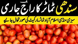 Islamabad Tomatoes Market Update | Tomato Prices | Sindh and KPK tomatoes 