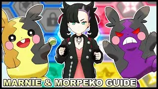 How To Use Marnie & Morpeko! Sync Grid Builds, Lucky Skill, Team Comp Guide! | Pokemon Masters EX