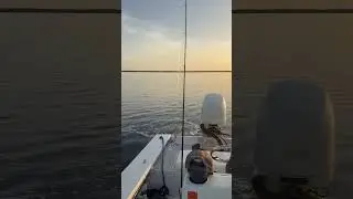 Florida Keys Sunset Cruise | Birds, Mangroves & Golden Hour 🌅🛥️🐦 #thefloridakeys