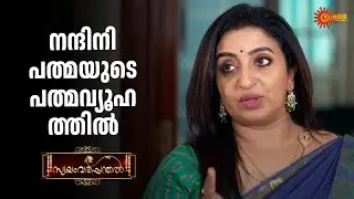 നന്ദിനിക്ക് പുതിയ പണികൾ വരുന്നുണ്ട് | Swayamvarapanthal - Adipoli Scenes | 17 Jan 2026 | Surya TV