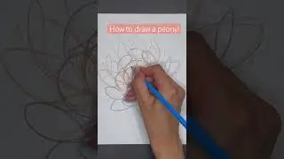 How to draw a peony! Watch my full tutorial! #artclass #drawingteacher #stepbystep #creativetutorial