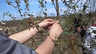 P1010723
