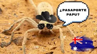 Australia casi nos hace volver a casa