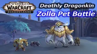 Zolla Pet Battle ~ Deathly Dragonkin ~ Family Exorcist