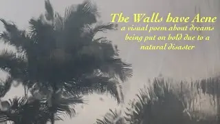 The Walls have Acne - a visual poem