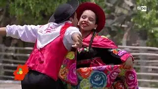 TENGO SED  Y HUAYLARSH  MISKI TAKIY 2024