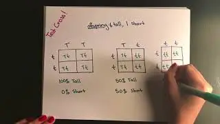 SAT Biology: Genetics