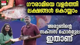 25 കുളങ്ങളിൽ ഗൗരാമി കൃഷിയുമായി അരുൺ കെ ജാൻസ് I Giant gourami sale I Fish farming I