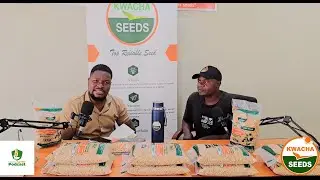 Transforming Malawi&rsquo;s agriculture with Chitedze 4 Soy Seed | Kwacha Seeds Company