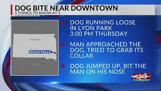 Dog bites man near Lyon Park in Sioux Falls
