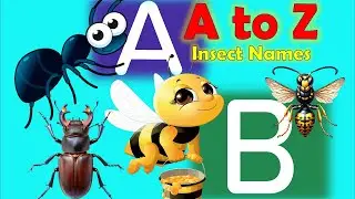 A to Z Insect Names For Kids | What Makes Insect Names So Much Fun For Kids To Learn