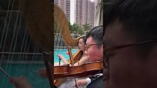 Can You Feel the Love Tonight by the pool 🏖️ #harp #harphk #harpist #canyoufeelthelovetonight