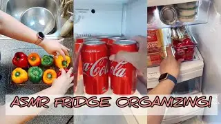 ASMR FRIDGE ORGANIZATION! | TikTok Compilation 2021