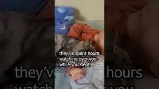 Why Cats Wake You Up: They&rsquo;re Making Sure You&rsquo;re Alive!