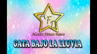 AFD - GATA BAJO LA LLUVIA