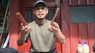 Kayu damar, api & survival.