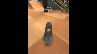 [True Skate] HIPPIFLIP INSANITY-STOOBOZ