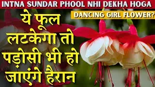 ये फूल लटकेगा तो पड़ोसी भी हो जाएंगे हैरान | INTNA SUNDAR PHOOL NHI DEKHA HOGA | Dancing Girl Flower