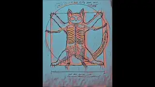 Sweety Kitty - Rebel Scum