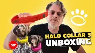 Halo Collar 5 Unboxing and Review | GPS Dog Fence, 20x Updates, AlwaysOn GPS, Dog Health