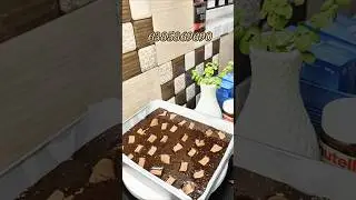 😍என்னோட SPECIAL CUSTOMER!!! 🤩🤩🤩❤️❤️✨ #shorts  #shortsfeed #brownies #customerlove