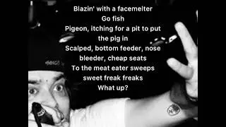 Aesop Rock - Facemelter
