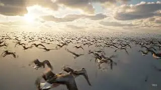 &ldquo;Flying Within a Migrating Flock &ndash; AI Cinematic Experience&rdquo;