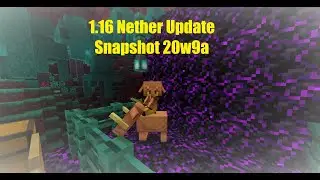 1.16 Minecraft Nether Update SnapShot 20w9a! (Everything you need to know)