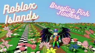 Roblox Islands: Breeding Pink Flowers