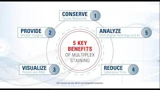How to choose chromogen colors for multiplex