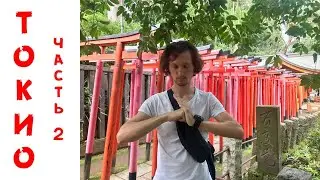 КУЛЬТУРА ЯПОНИИ НА МАКСИМАЛКАХ