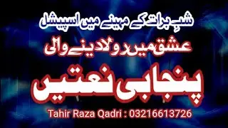 New Punjabi naat Guldasta 2026 | عشق میں رولانے والی نعتیں  | by Tahir Raza Qadri fsd