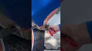 Bridling giant bluefish for BIG TUNA!