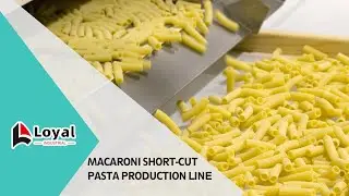 Macaroni Factory Equipment Demo