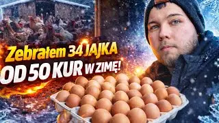 ZEBRAŁEM 34 JAJKA OD 50 KUR W ZIMĘ! 😱🔥 TAKIEGO WYNIKU SIĘ NIE SPODZIEWAŁEM