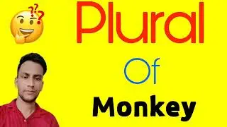 Plural of monkey | monkey ka plural | monkey plural | monkey plural form | plural form of monkey