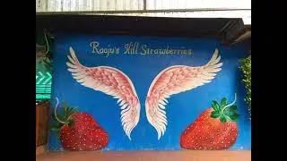 Raaju's Hill Strawberry Farm | Cameron Highlands