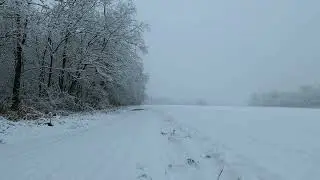 Winter Snowfield Ambience | White Noise for Deep Sleep & Focus