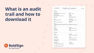 What is an Audit Trail and How to Download It