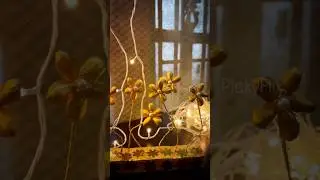 Amazing Home Decor using Pista Shell | Golden showpiece #shorts #homedecor #showpiece  #pistashell