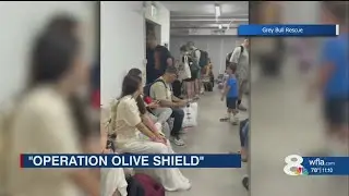 Tampa Man Leads Daring Rescue of 700 Americans from Israel | Operation Olive Shield